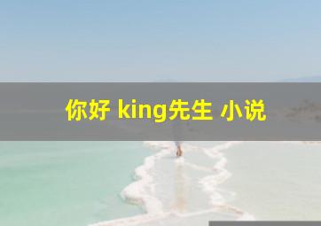 你好 king先生 小说